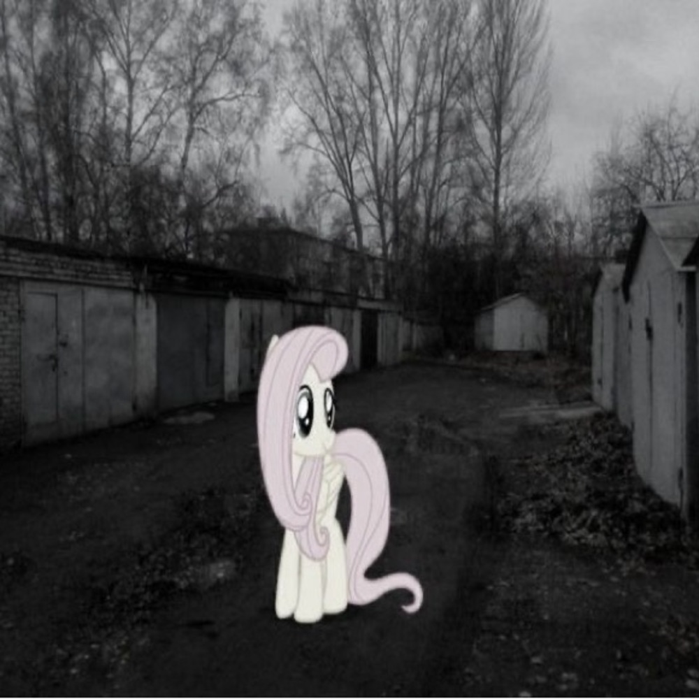 Meet your Posher, Rocio